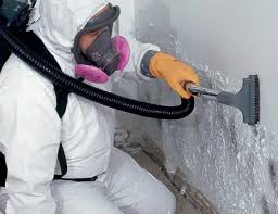 Forensic Mold Investigation in Blacksburg, SC